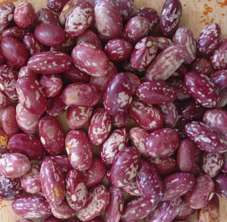 Dry beans- Nambale short