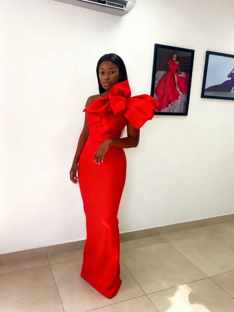 Ladies Elegant Dress