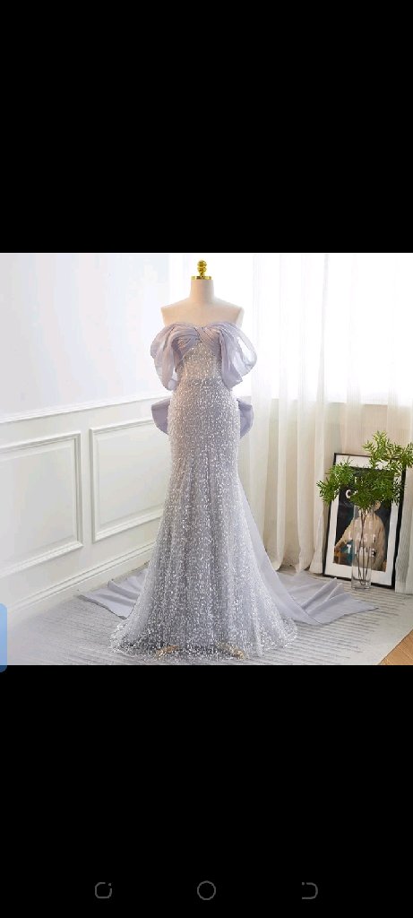 elegant silver evening gowns