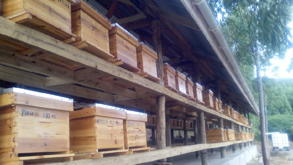 Langstroth bee hives